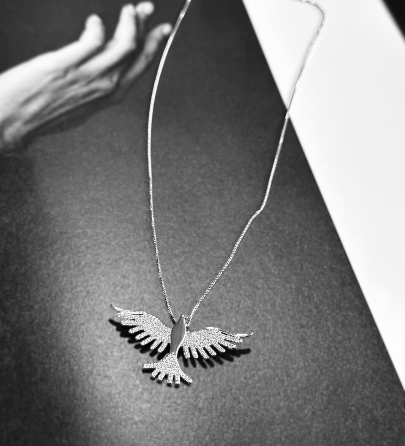 Producto 40-B